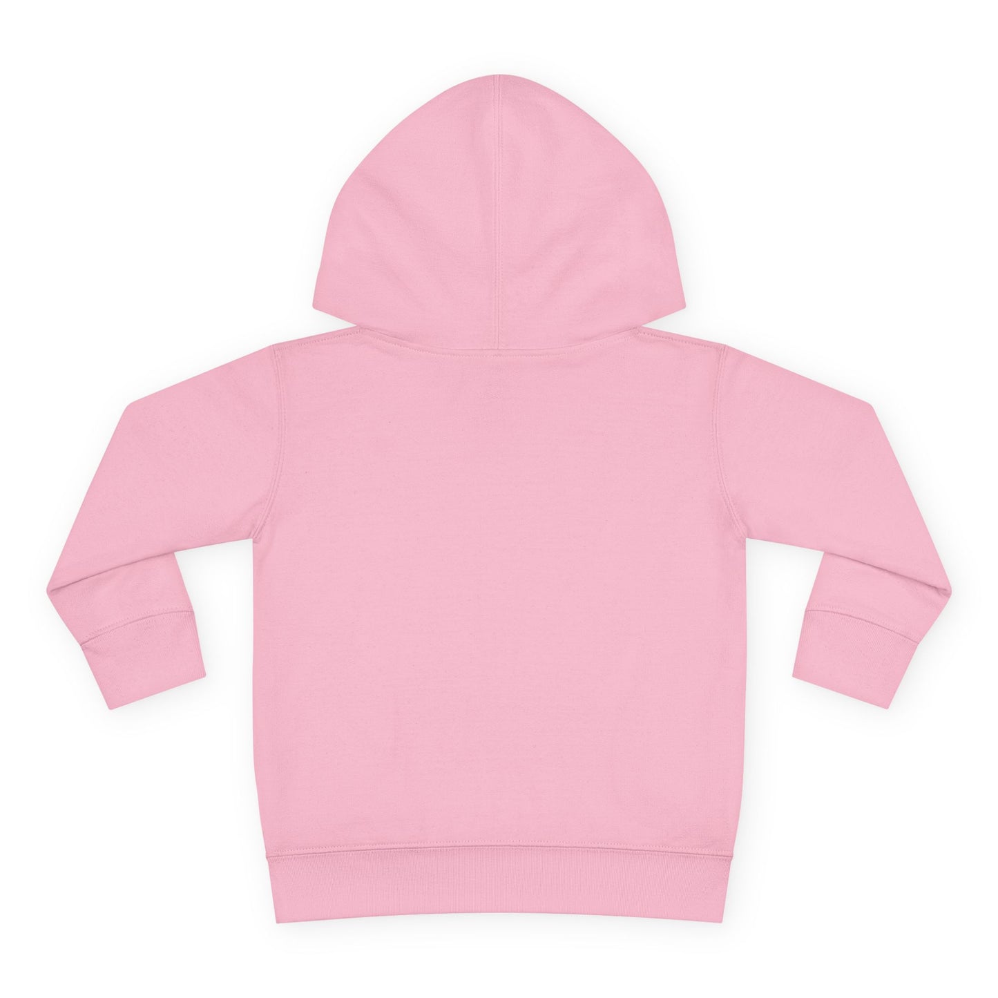 2T-6T Toddler Girls In The Beginning Pullover Fleece Hoodie