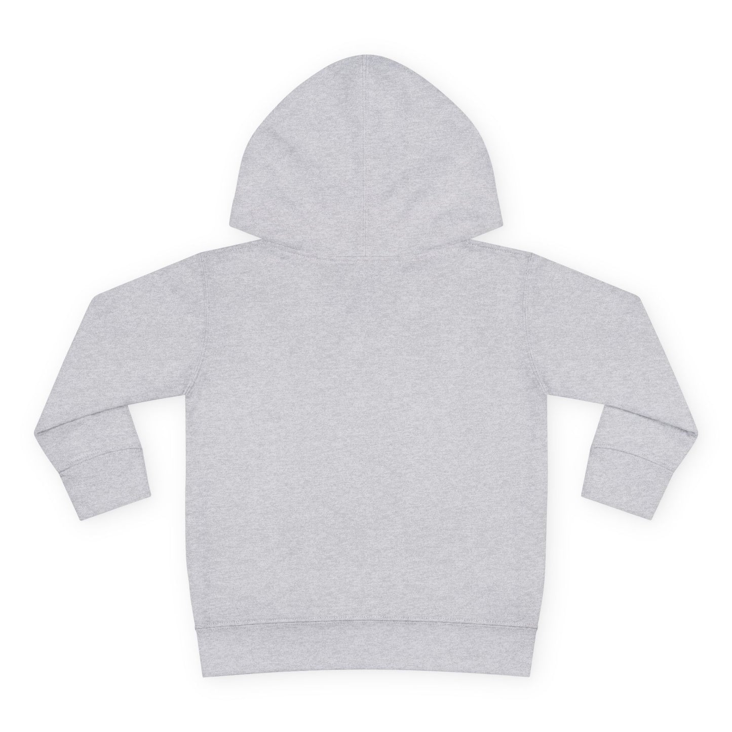 2T-6T Boys Toddler In The Beginning Pullover Fleece Hoodie