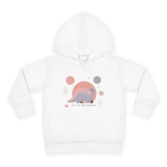 2T-6T Toddler Girls In The Beginning Pullover Fleece Hoodie