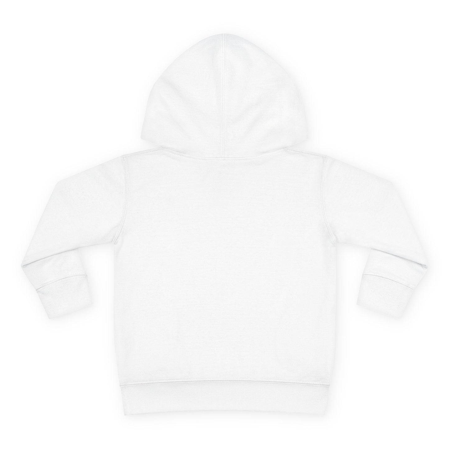 2T-6T Boys Toddler In The Beginning Pullover Fleece Hoodie